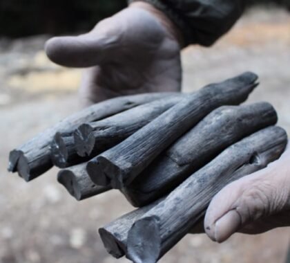 WhatsApp Image 2025-11-08 at 16.13.16 (1)