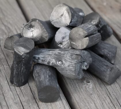 WhatsApp Image 2025-11-08 at 16.13.18