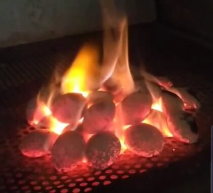 WhatsApp Image 2025-11-11 at 14.56.36